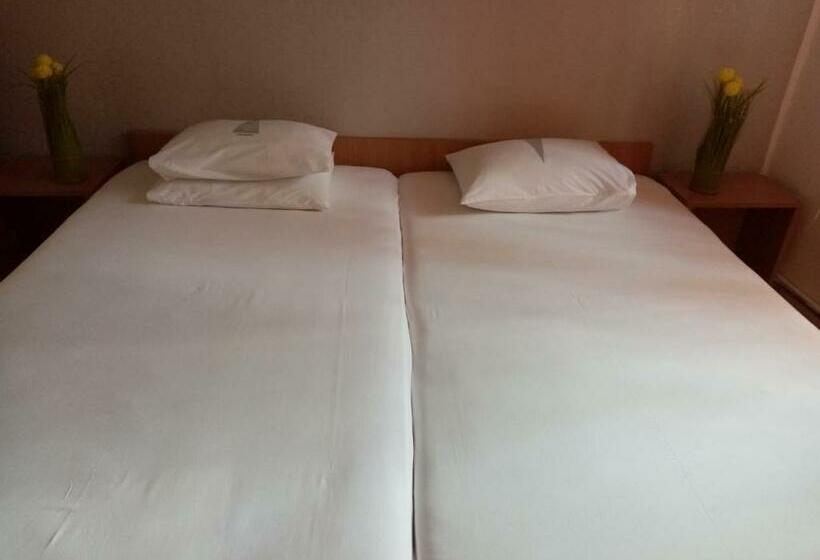 חדר סטנדרט, Vila Danlavi Busteni