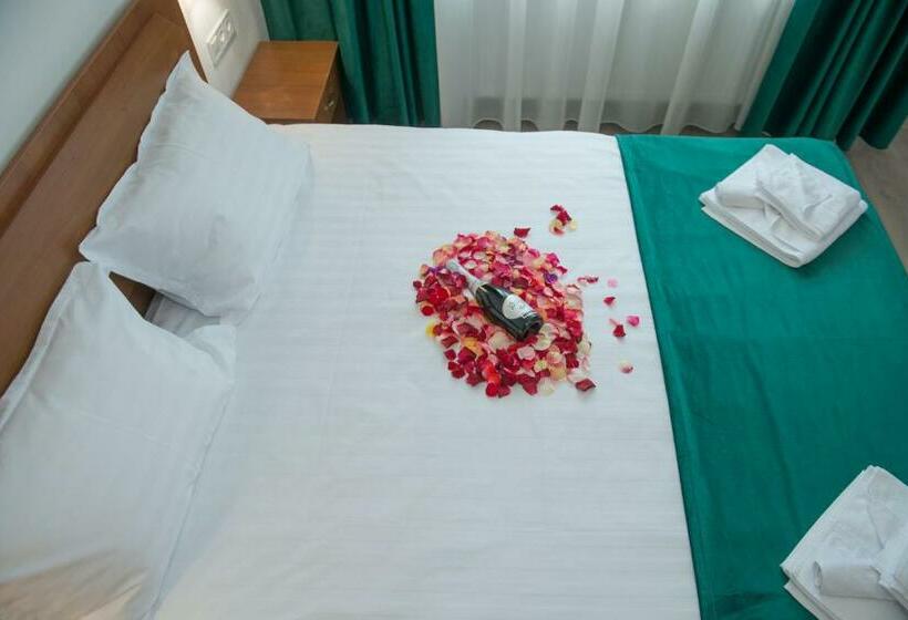 חדר סטנדרט עם מרפסת, Pensiunea Attitude