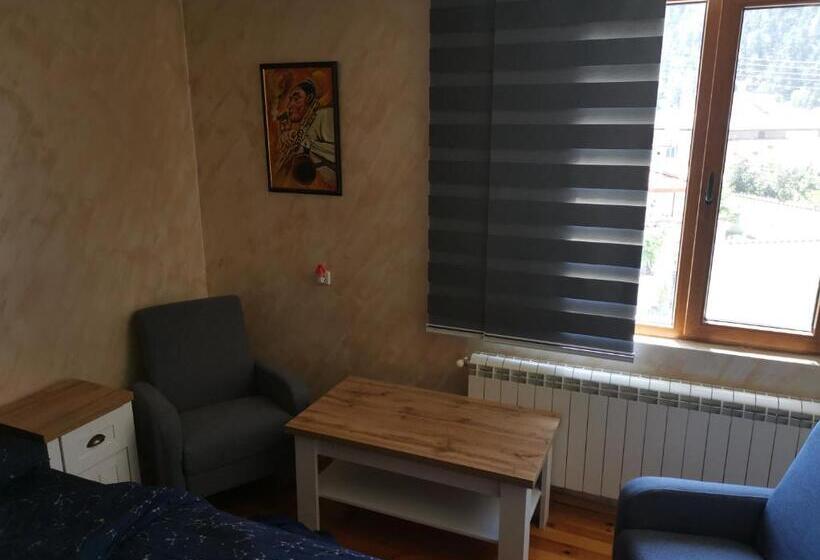 デラックスルーム, къща томови,стаи за гости