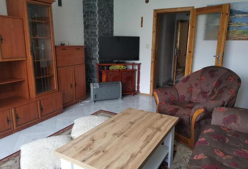 家庭工作室, къща томови,стаи за гости