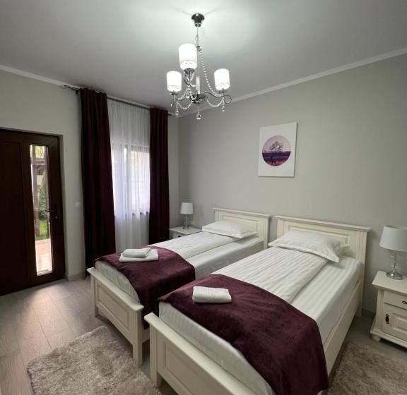 Номер Стандарт Вид на Сад, Pensiunea Izora