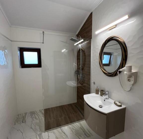 Номер Стандарт Вид на Сад, Pensiunea Izora