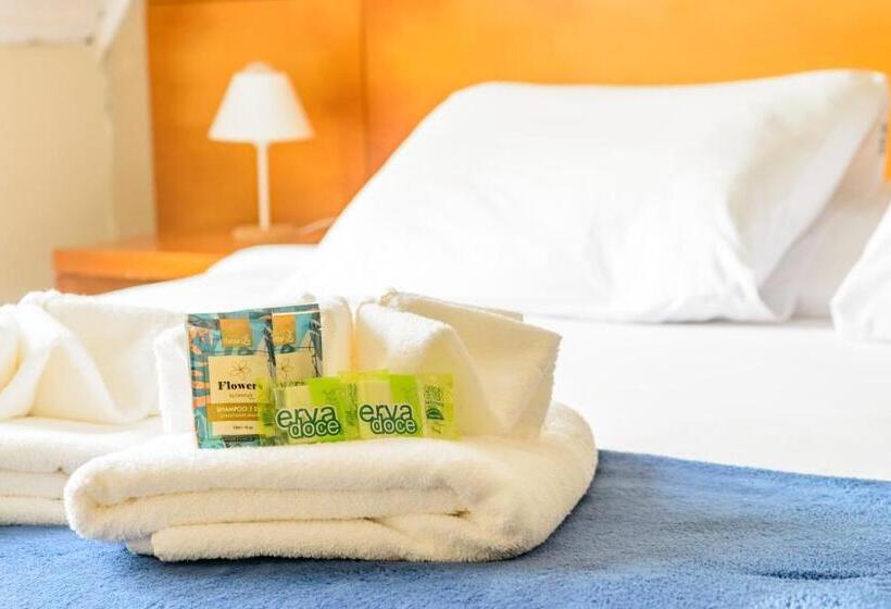 장애인을 위한 킹사이즈 침대 스탠다드 룸, Pousada Parque Das Flores