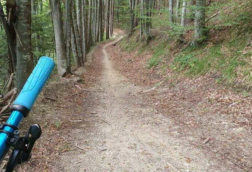 景色の見える一ベッドルームアパートメント, Apartament 2706 Alpin Resort, Etaj 7, Poiana Brașov