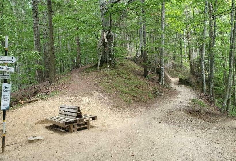 景色の見える一ベッドルームアパートメント, Apartament 2706 Alpin Resort, Etaj 7, Poiana Brașov