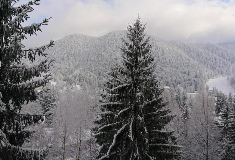 景色の見える一ベッドルームアパートメント, Apartament 2706 Alpin Resort, Etaj 7, Poiana Brașov