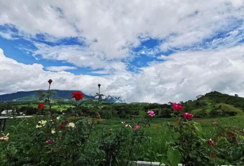 بنجلو عائلى, ภูน้ำทิพย์ รีสอร์ท