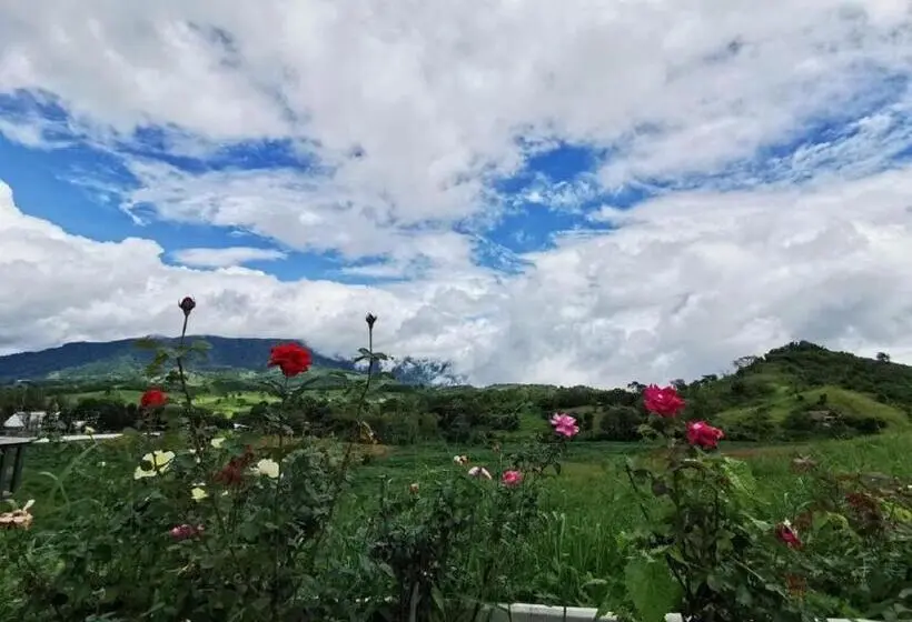 家族用バンガロー, ภูน้ำทิพย์ รีสอร์ท