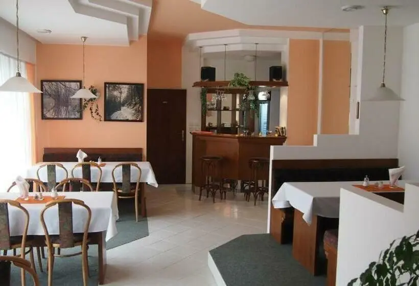 اتاق استاندارد, Penzion Jany