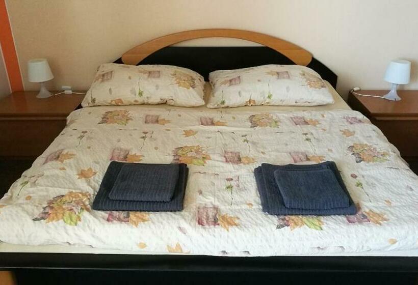 חדר סטנדרט, Penzion Jany