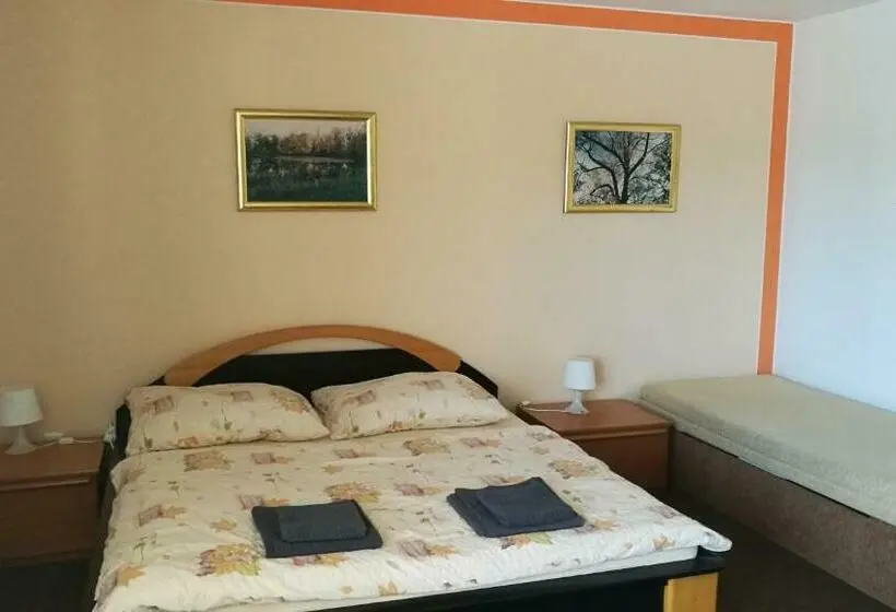 اتاق استاندارد, Penzion Jany