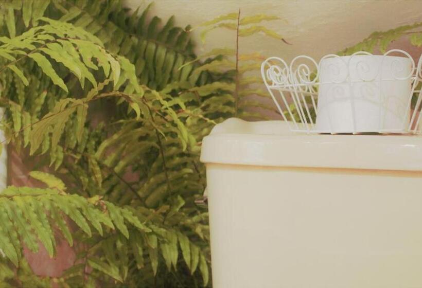 מיטה בחדר משותף, Casa Santaella