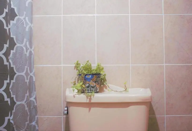 スタンダードルーム, Casa Santaella