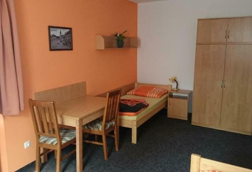 스탠다드 룸 공동 욕실, Penzion A Restaurace U Pošů