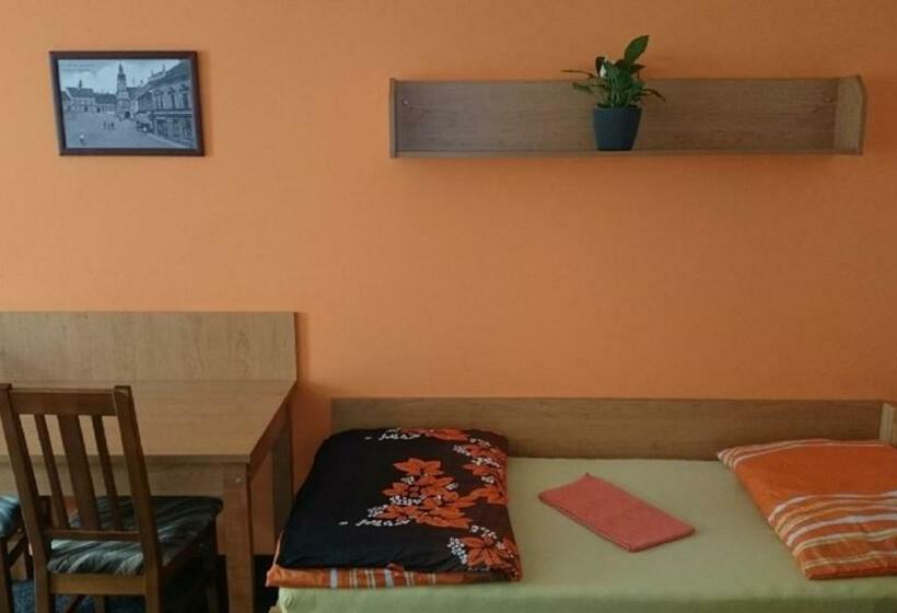 스탠다드 룸 공동 욕실, Penzion A Restaurace U Pošů