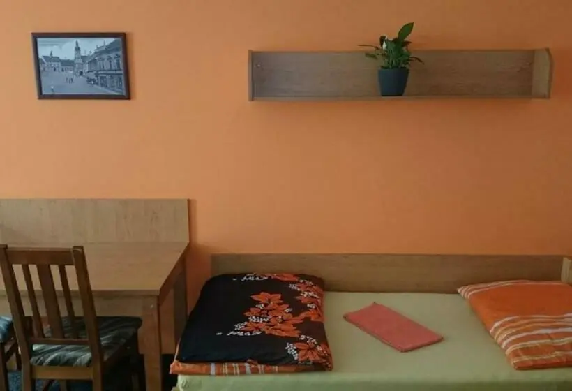 バス共有のスタンダードルーム, Penzion A Restaurace U Pošů