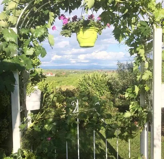 マウンテンビュースイート, Gite Riquewihr C Est Beau La Vie Alsace