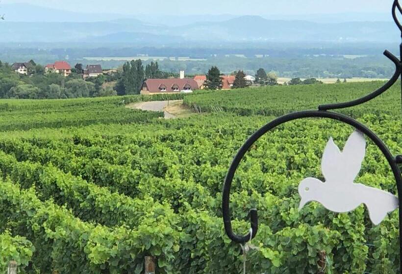 Люкс Вид на Горы, Gite Riquewihr C Est Beau La Vie Alsace
