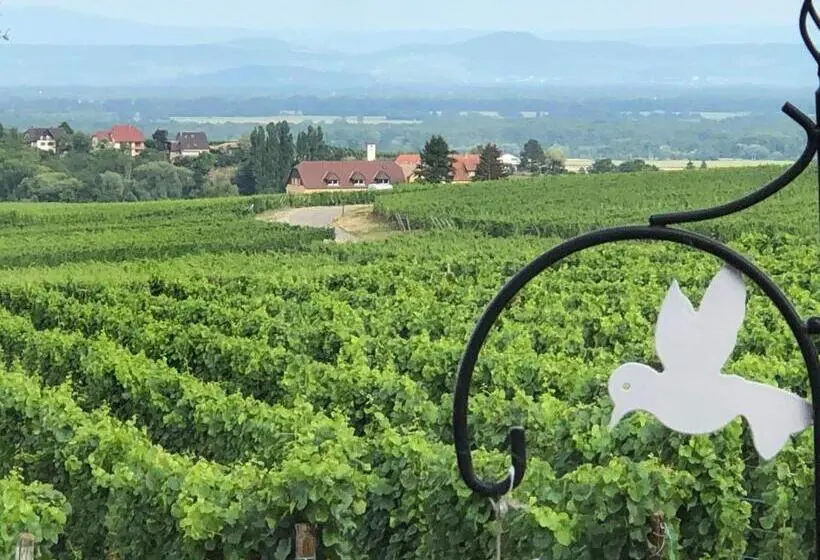 マウンテンビュースイート, Gite Riquewihr C Est Beau La Vie Alsace