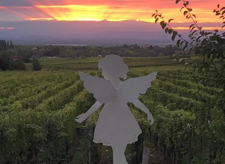 Люкс Вид на Горы, Gite Riquewihr C Est Beau La Vie Alsace