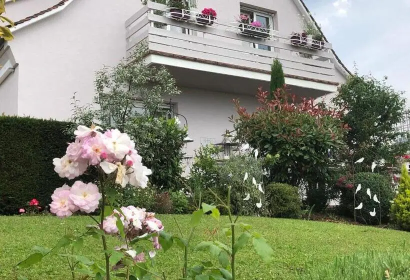 マウンテンビュースイート, Gite Riquewihr C Est Beau La Vie Alsace