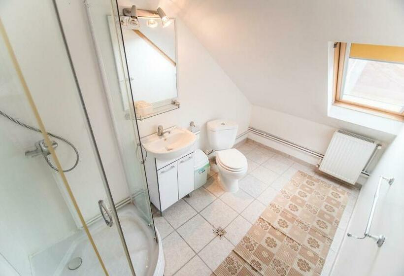 חדר סטנדרט נוף להרים, Transylvania Guest House