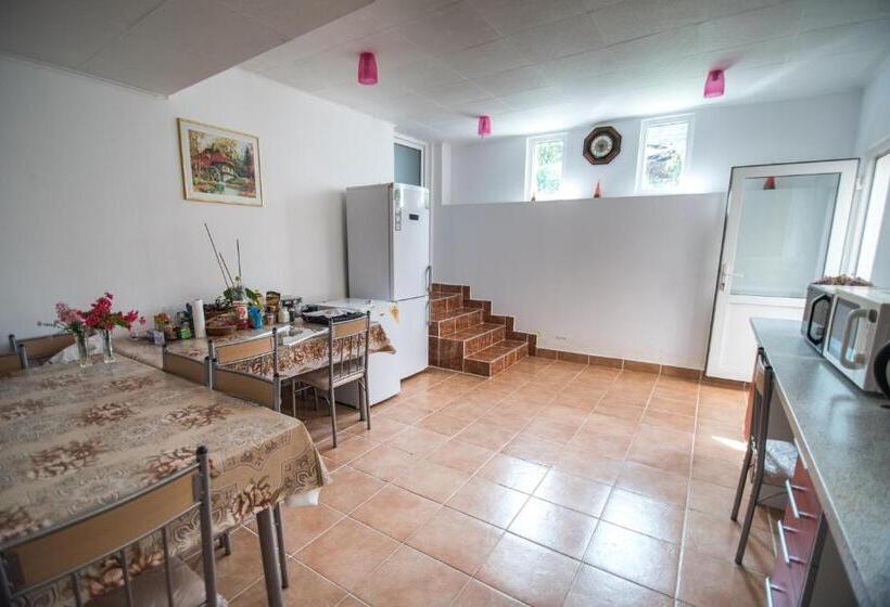 דירת שני חדרים, Transylvania Guest House