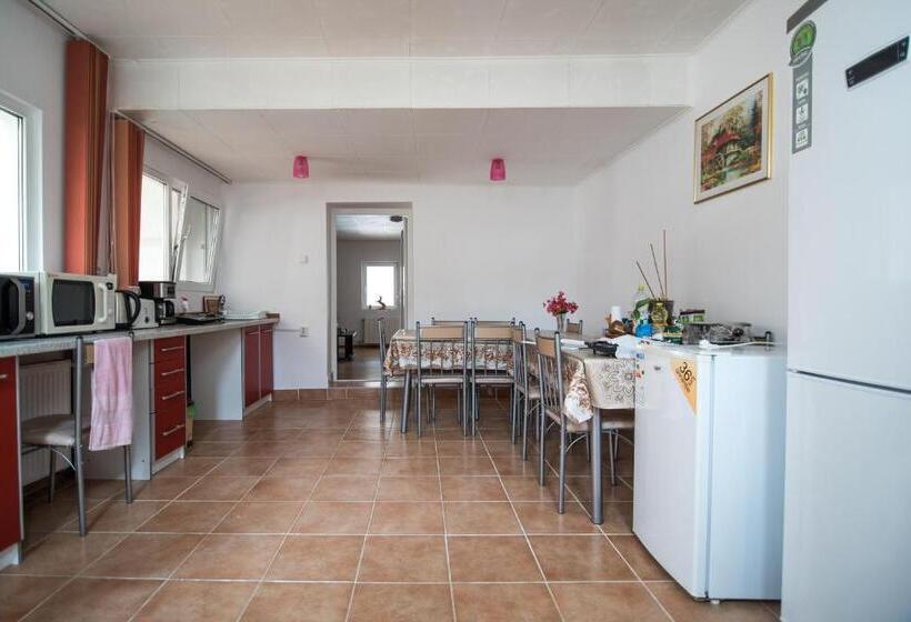 דירת שני חדרים, Transylvania Guest House