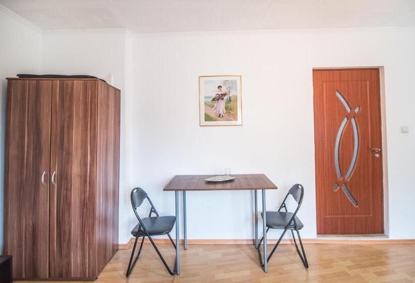 דירת שני חדרים, Transylvania Guest House