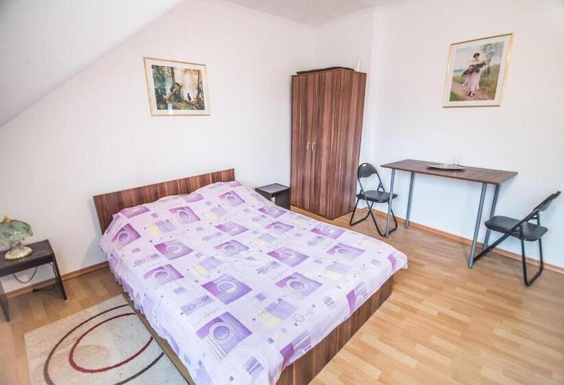 דירת שני חדרים, Transylvania Guest House