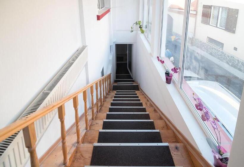 חדר סטנדרט עם מיטת קינג, Transylvania Guest House