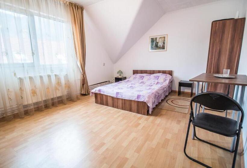 דירת שני חדרים, Transylvania Guest House