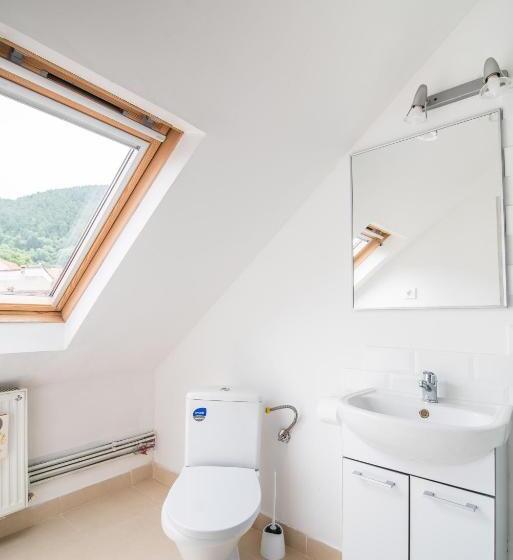 스탠다드 룸 산 전망, Transylvania Guest House