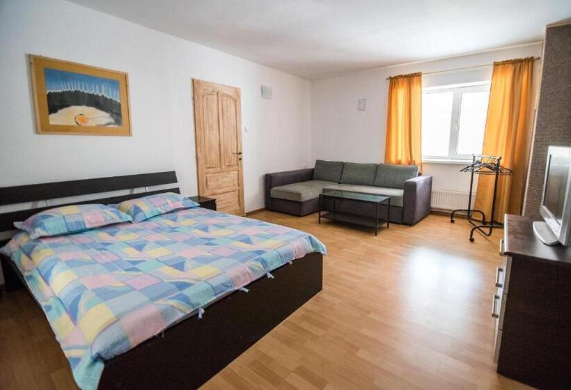 חדר סטנדרט לשלושה, Transylvania Guest House