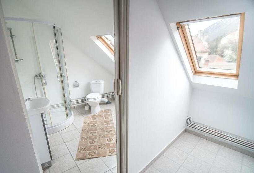 דירת שני חדרים, Transylvania Guest House