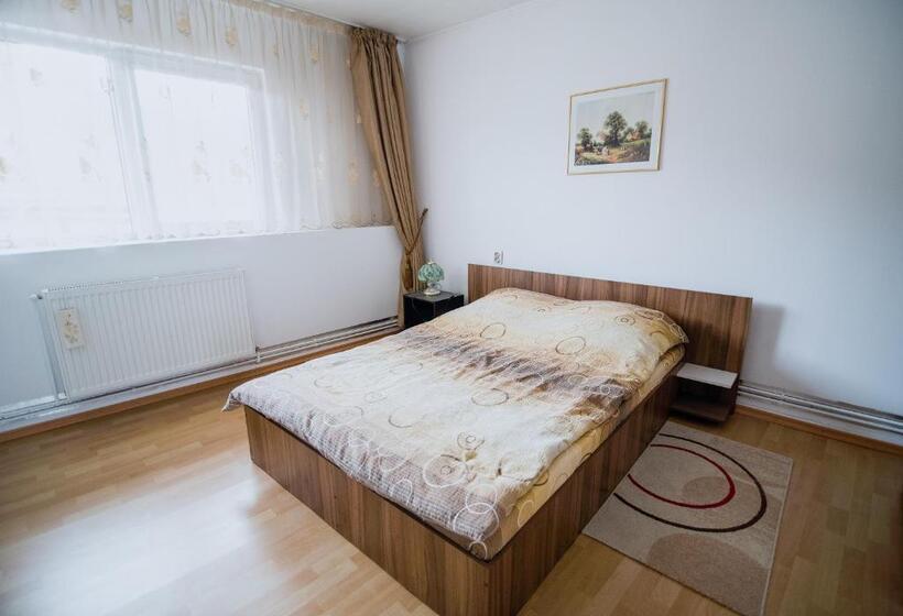 דירת שני חדרים, Transylvania Guest House