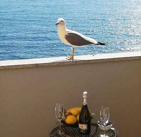 اتاق لوکس با بالکن, Alex Room