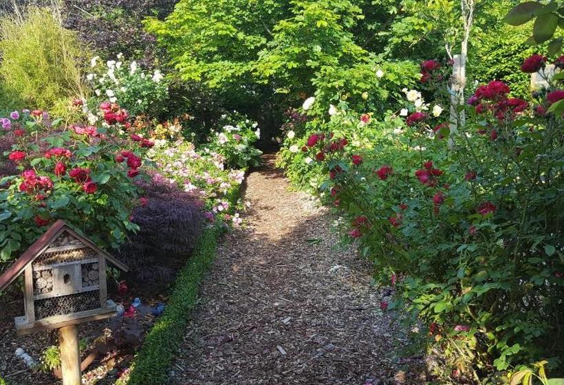 スタンダードルーム, Pension Hohaus