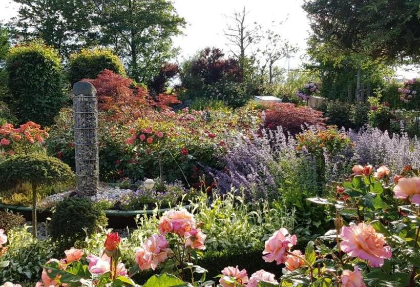 １ベッドルームアパートメント, Pension Hohaus