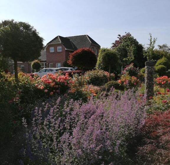 １ベッドルームアパートメント, Pension Hohaus