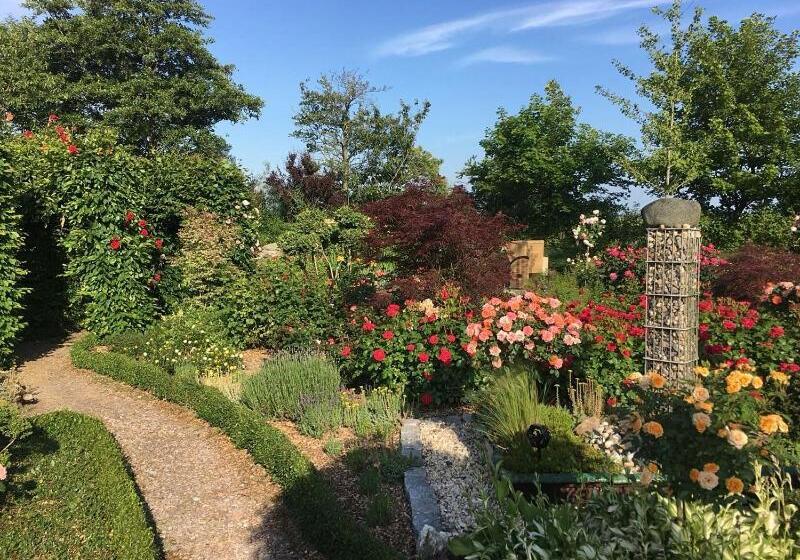 １ベッドルームアパートメント, Pension Hohaus