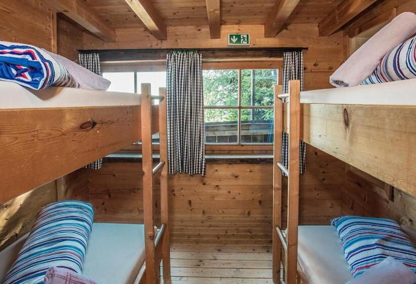 اتاق استاندارد چهارنفره با سرویس بهداشتی مشترک, Hocheckhuette On Top Of The Kitzbuehel Hahnenkamm Mountain