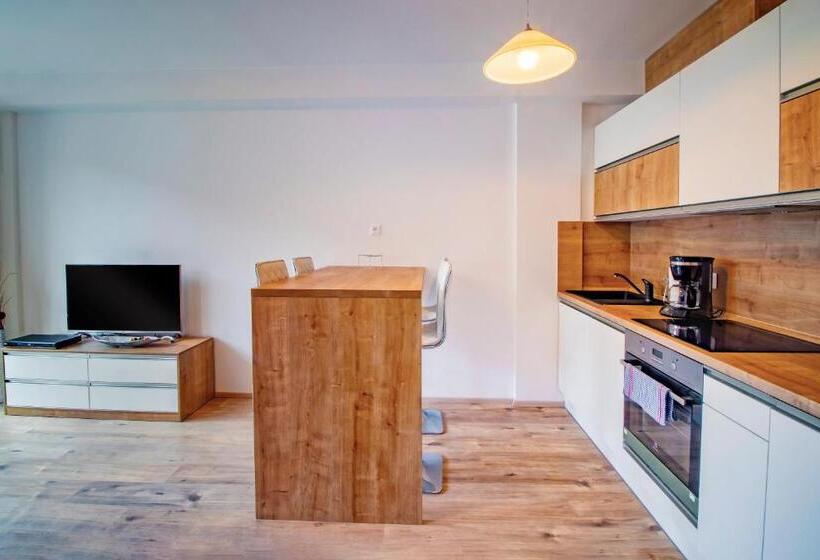 آپارتمان 1 خوابه, Aparthotel Klínovec Views