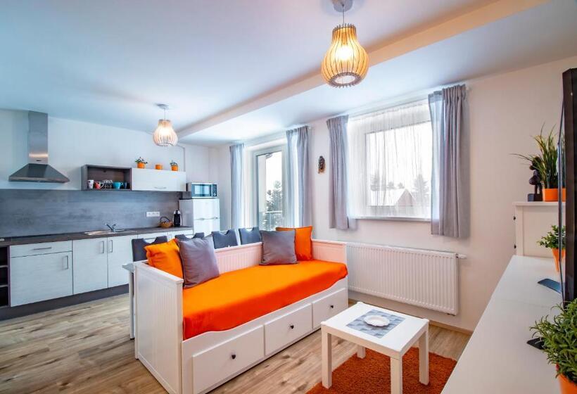 Студия Стандарт, Aparthotel Klínovec Views