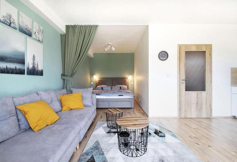 Студия Стандарт, Aparthotel Klínovec Views