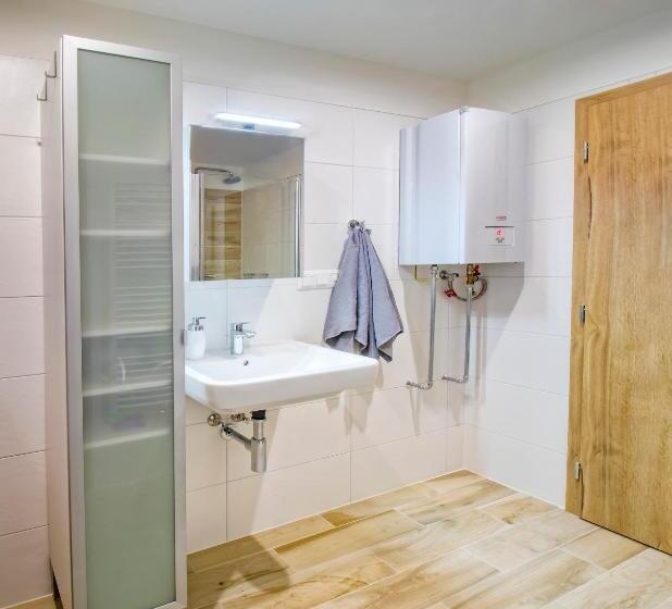 Апартаменты 1 Спальня, Aparthotel Klínovec Views
