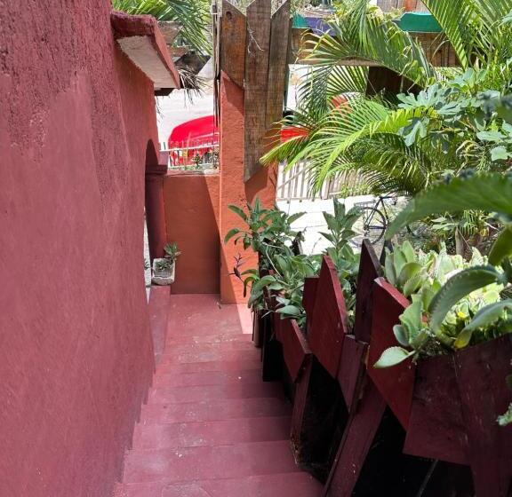 اتاق استاندارد با تراس, Black Jaguar Hostel