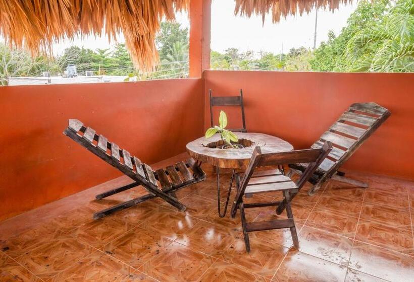 اتاق استاندارد با تراس, Black Jaguar Hostel