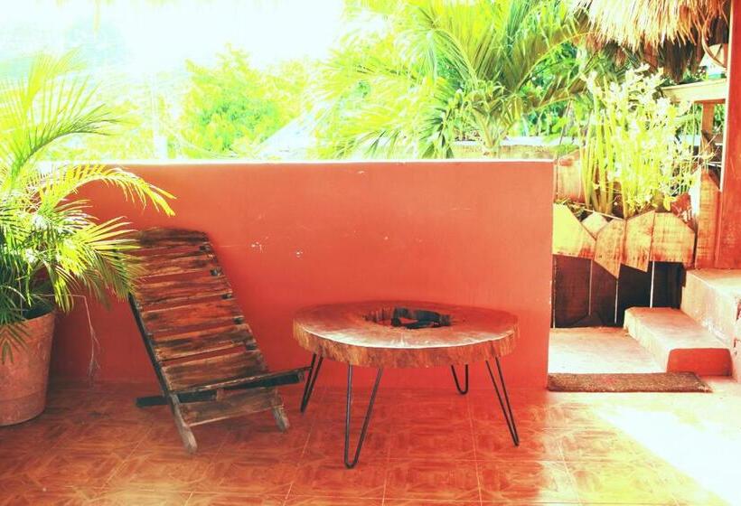 اتاق استاندارد با تراس, Black Jaguar Hostel