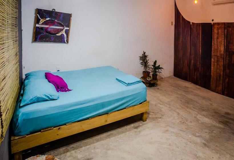 استودیوی استاندارد, Black Jaguar Hostel